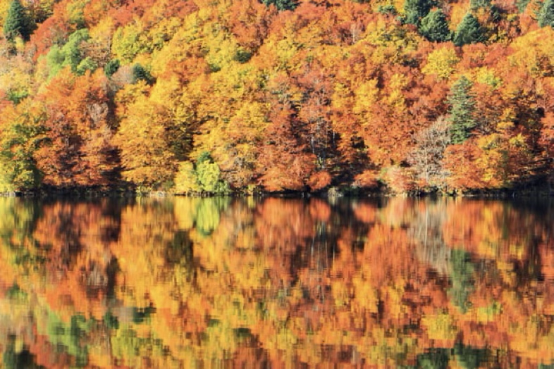 Le Lac de Guéry, Auvergne