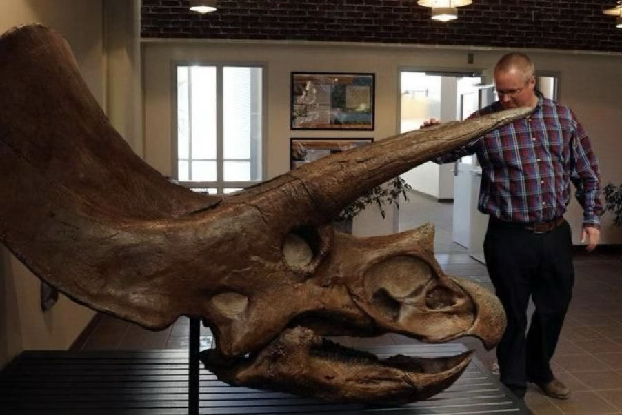 Au cas où vous l'auriez oublié : les dinosaures étaient énormes